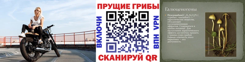 Галлюциногенные грибы Cubensis  Старый Оскол 