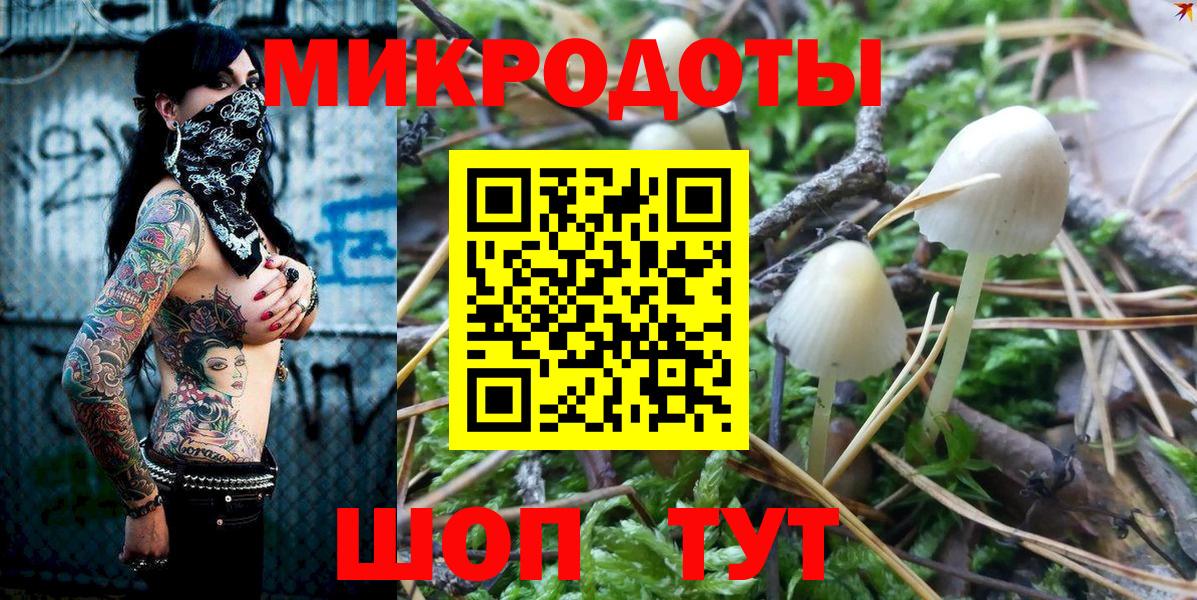 Псилоцибиновые грибы Psilocybine cubensis Старый Оскол