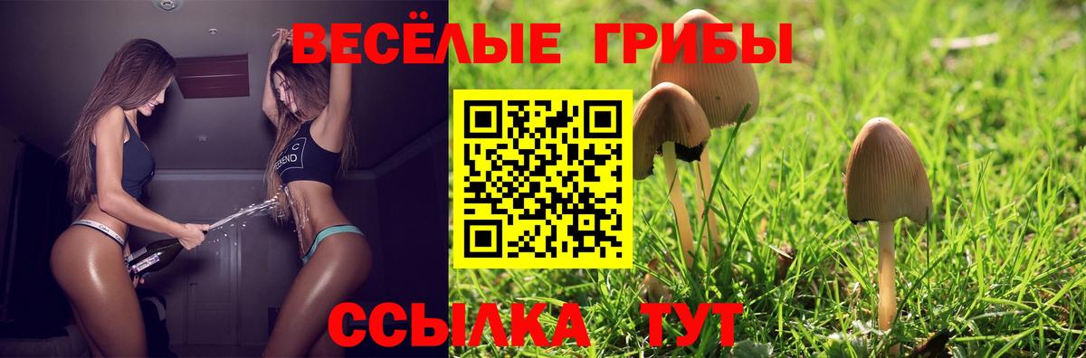 Галлюциногенные грибы MAGIC MUSHROOMS  Вход с VPN  Старый Оскол 